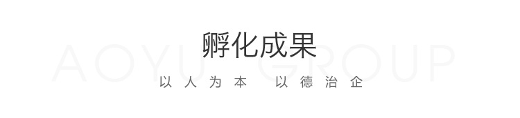 奥宇孵化器