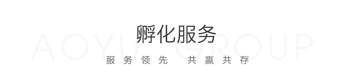 奥宇孵化器