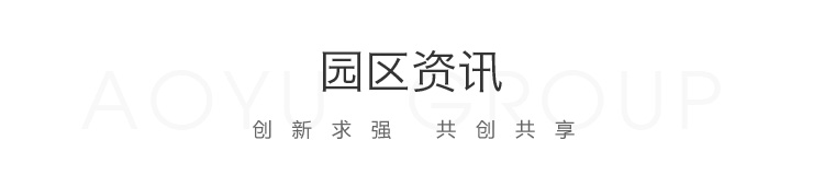 奥宇孵化器