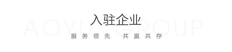奥宇孵化器